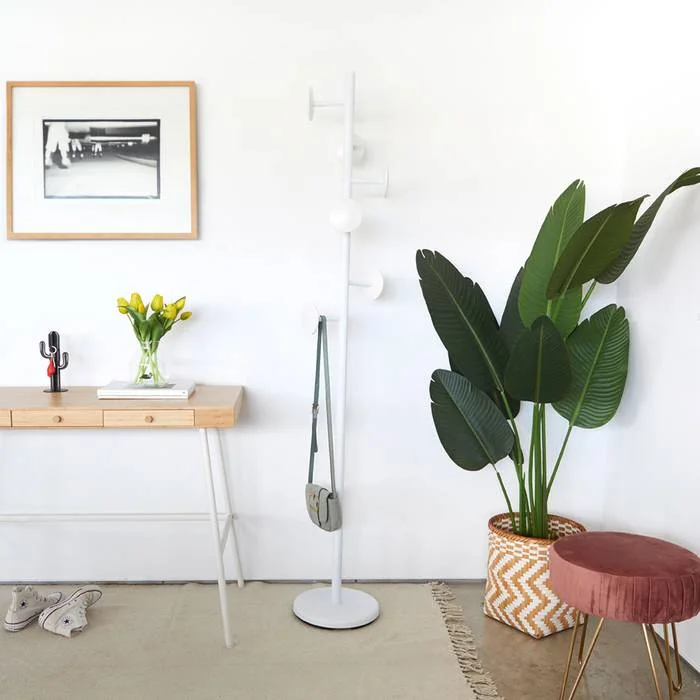 Coat Rack Shiitake