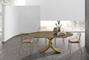 Apri gallery